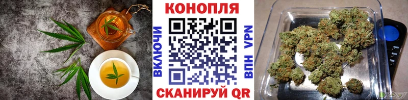 Cannafood конопля  гидра зеркало  Аша 