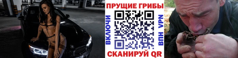 закладки  Аша  Галлюциногенные грибы GOLDEN TEACHER 